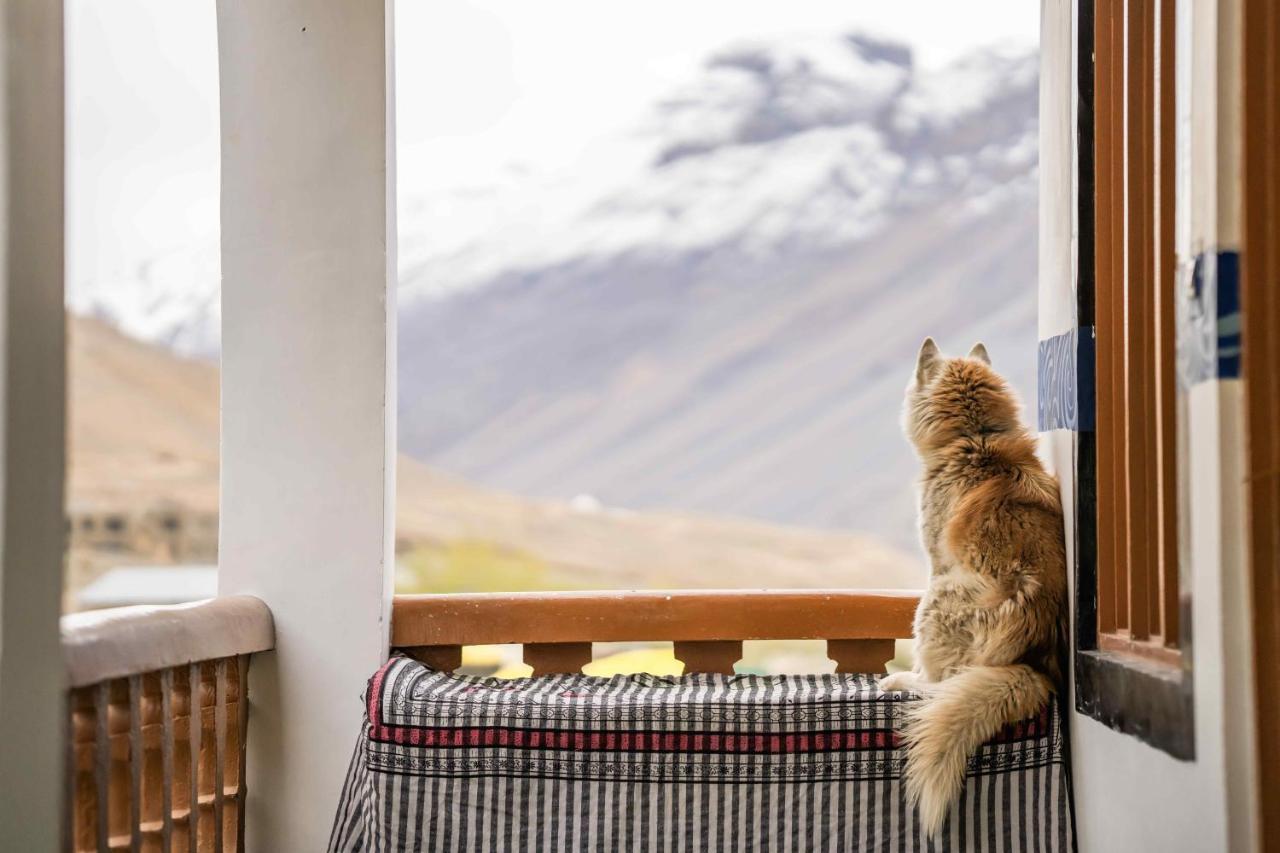 Zostel Spiti Hostel Kaza Exterior photo